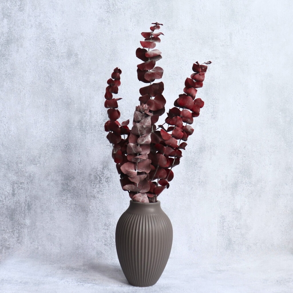 Stabilizovaný Eucalyptus Cinerea Foliage červený – dekorativní eukalyptus do aranžmá